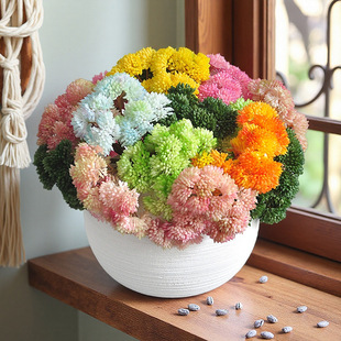 ܛ�z���й��Gֲ�쾰������Ƶ�Ҿ�����[���ٻ�ֲ���������쾰