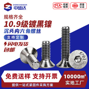 10.9��僺��ƽ�^�������ݽz�ߏ��Ⱥ����ᔳ��^��������˨M2M3M4