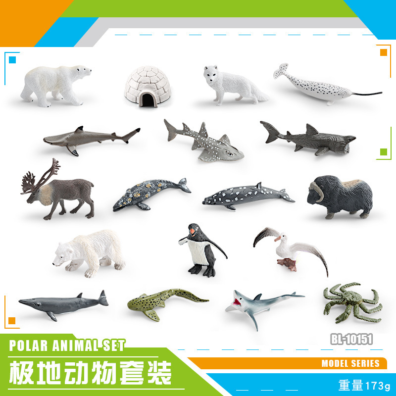 Exportación transfronteriza simulación modelo de animales polares mini animales de invierno ártico beluga morsa cognición educación temprana decoración