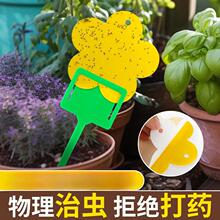 �½��ɰl-С�S�廨������ճ�x�����С���wճ�x���p���ˮ�Tճω