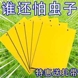 双面粘虫黄板诱虫板柑橘子树瓜果实蝇针蜂粘苍蝇贴粘虫板蓟马篮板
