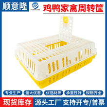 特厚塑料家用养鸡笼子家禽运输笼成鸡鸭周转筐鸽兔养殖笼大型批发
