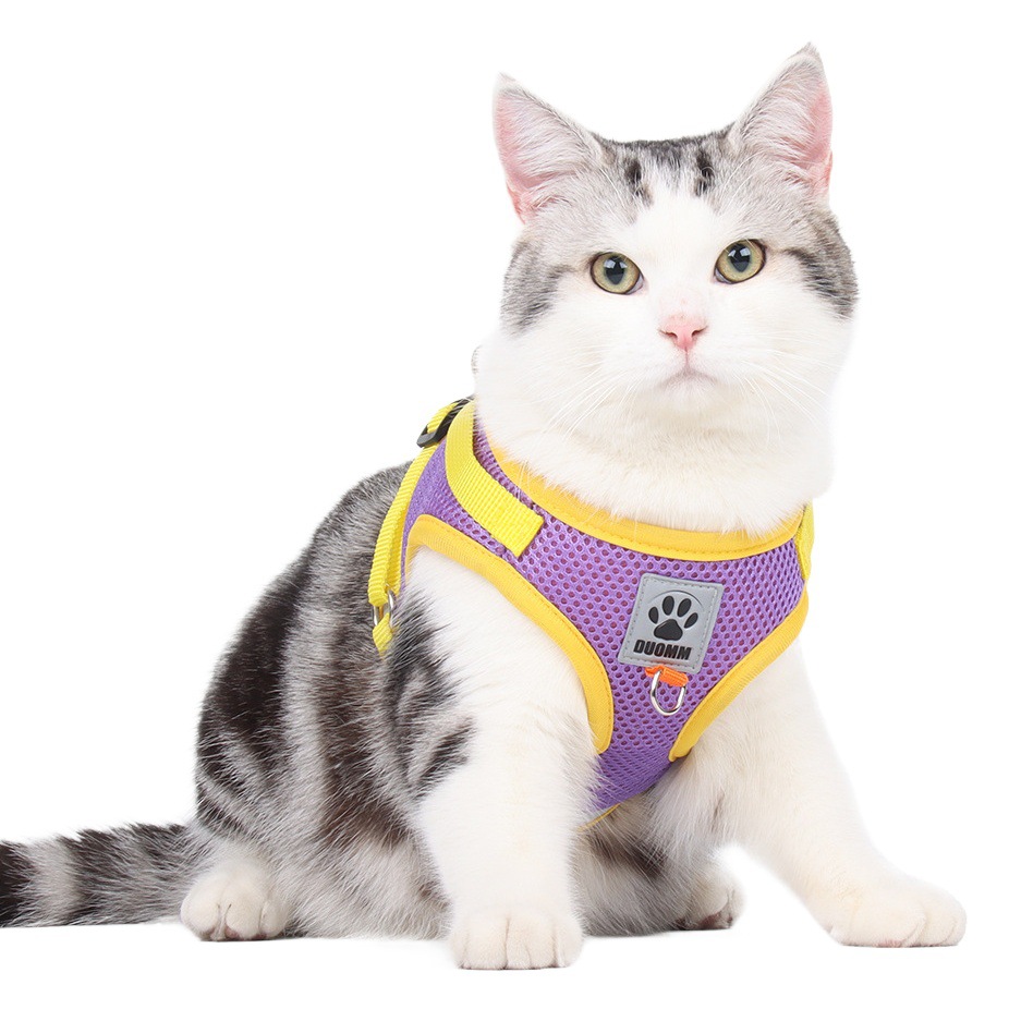 Nuevo gato Correa chaleco perro correa de pecho transpirable gato perro correa de pecho reflectante correa de Mascota