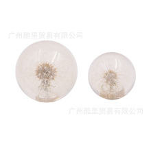 ��܇���b��Ʒ54MM/70mm�ѹ�Ӣ�œ��^ֲ������׃�ٓQ����ˮ����