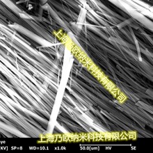 ���L���ȵ������ &phi; 1-3um L50-100um �߼��������w�S�{�׾�