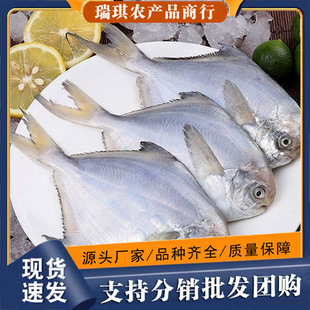 ���r�y�K�~���K�~������rˮ�a�r��~С�K�~���~ƽ�~�K�c�~���~