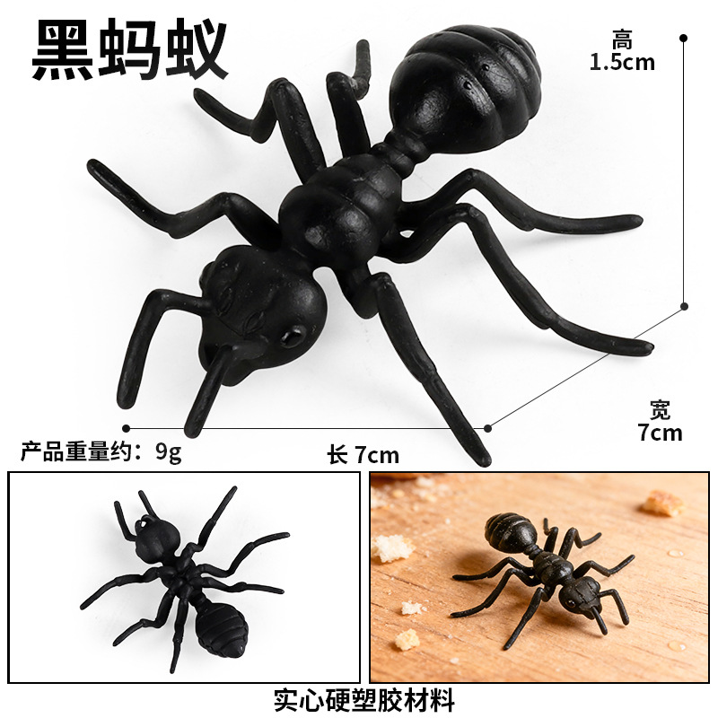 KZ1042 negro ant