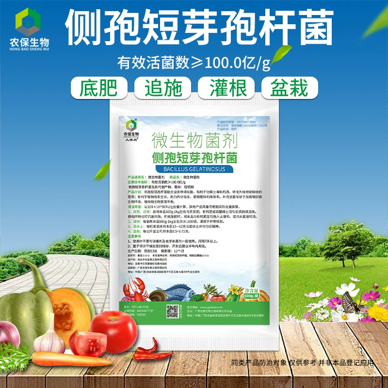500 г Bacillus sylvides для снижения почвенного металла улучшает текстуру почвы