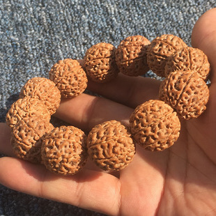 ����������ִ��SƤԭ��5��6��7��8��9��ӡ��tƤ�M�����������