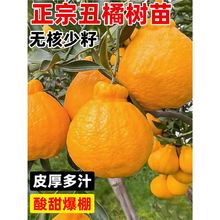 ���٘��粻֪��ɳ�ǽ۟o�����ӹ����������ָ̰ҰҸ��ϱ����Nֲ