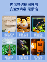 j8������������������ؿ؜ؿ������@�����~��ȫ�Ԅ��������_�Pg3