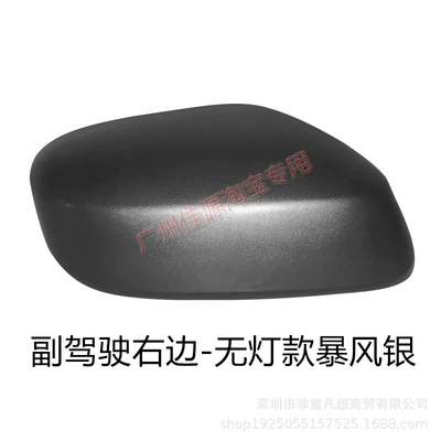 Rear mirror/rearview mirror assembly, Rearview Mirror Housing 08 to - model-without-lights-on-the-right-side-of-the-passenger-side-storm-silver-shell