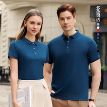 ZXSCS804��180��ɣ�Q�z�L�q�����e��ɫ���IPOLO���r����