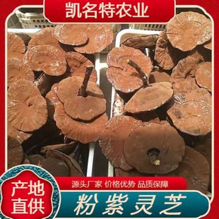 �����`֥�����L�ȶ����^���������ӷ۲������l��������ă���֥