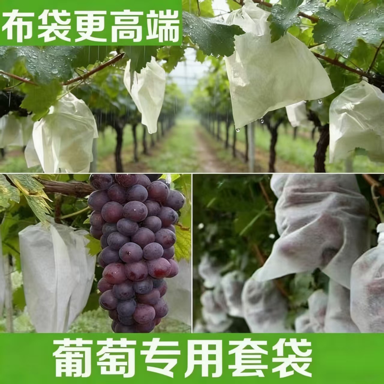 Bags for Grapes, Peaches, Loquats, and Other Fruits; Bird-Proof Fruit Bags; Non-Woven Fabric Insect-Proof Net; Breathable Universal Bags for Figs