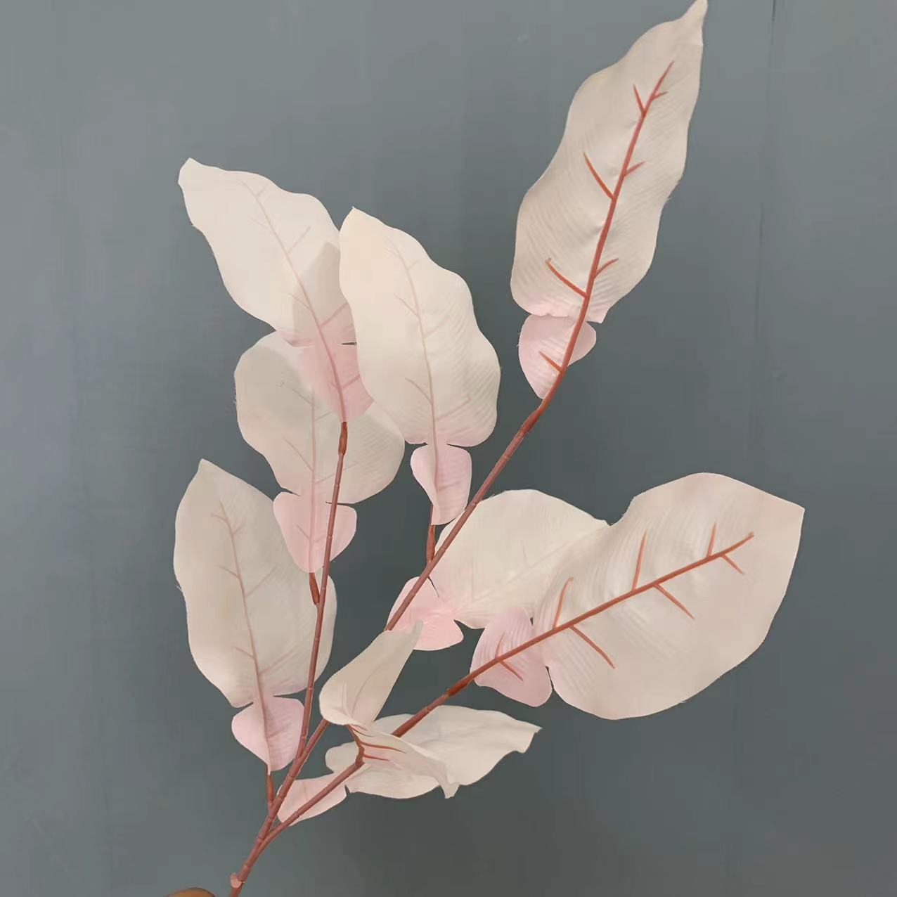 Grapefruit leaves-pink