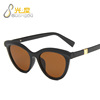 Trend sunglasses, fashionable glasses, cat's eye, 2022 collection, European style
