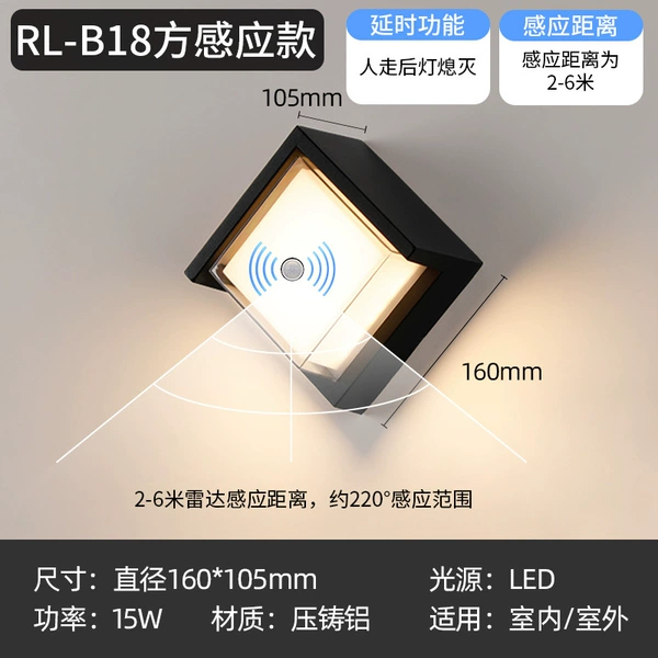 R18G-Induction model