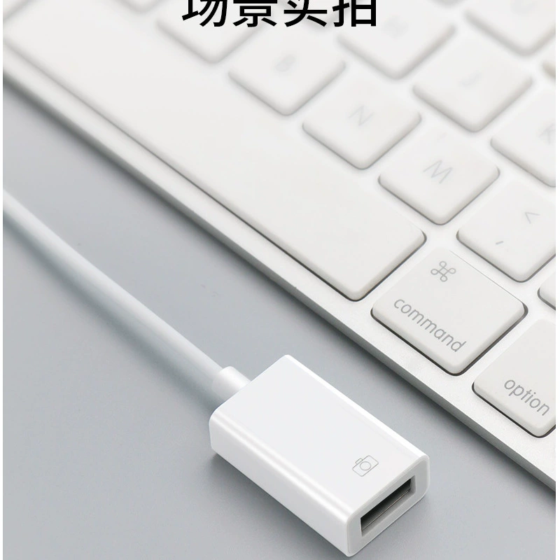 Adapter-кабель OTG 2.0 USB/3.0 AF/3.1 гнездо — подходит для iPad, Android, Type-C OTG