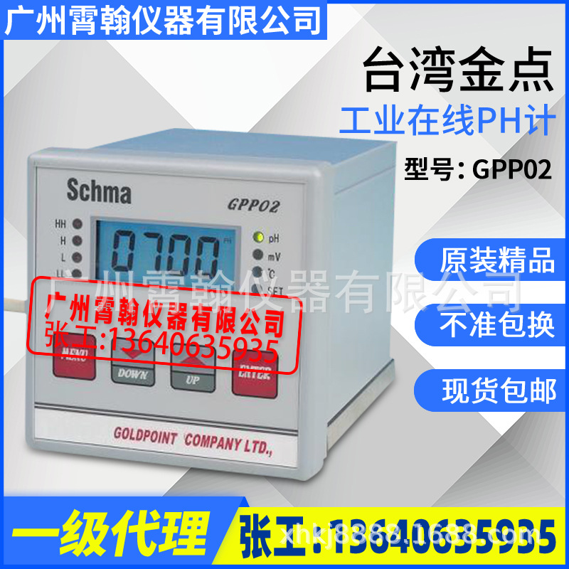 GPP02在线式PH计酸度计GOLDPOINT台湾金点SCHMA工业PH/ORP控制器