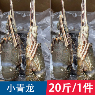 ����Խ��С����200-600g���r��������к��rˮ�a�͏d����20��/1��