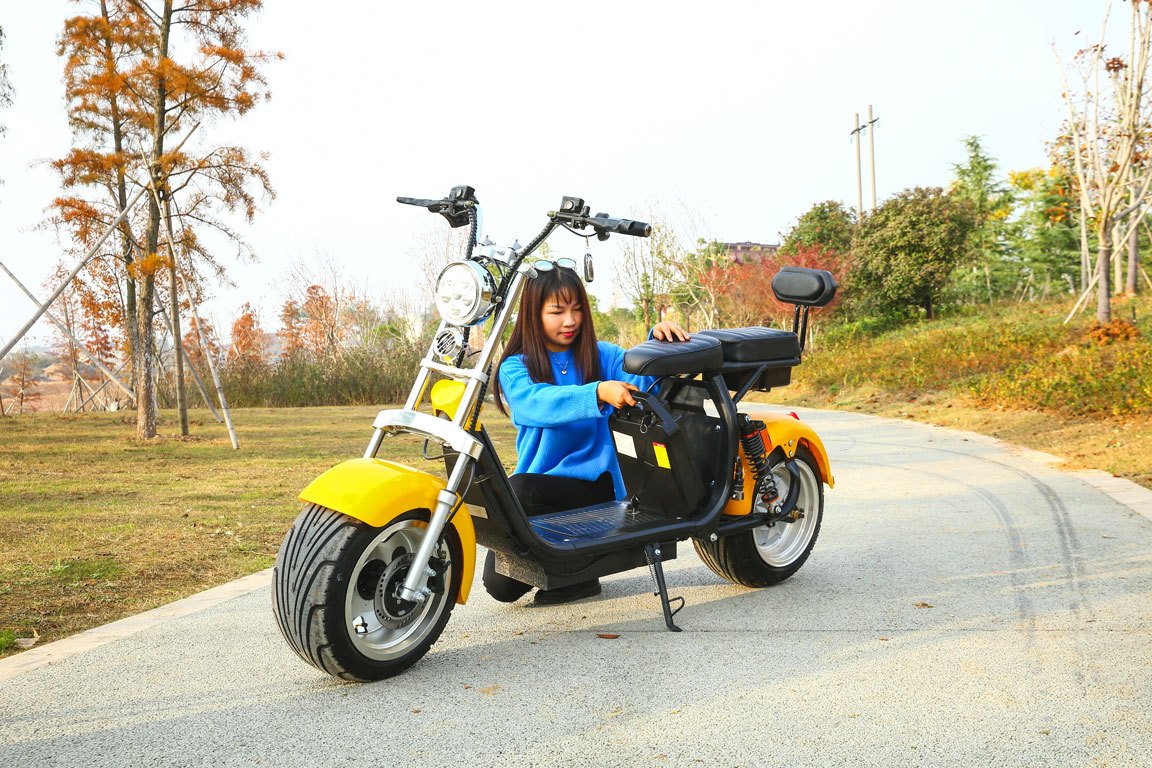 Eec Adult Scooter Two-Wheeled Motorcycle Harley Electric Vehicle 12 Dual Batteries 60V/12A