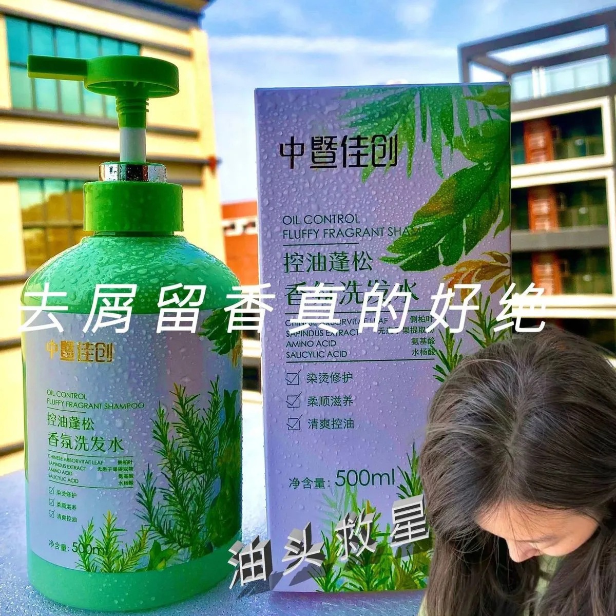 Platycladus orientalis 잎 오일 컨트롤 플러피 샴푸 500ml/(단일 병)