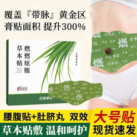 艾草燃燃炫腹草本贴肚脐丸贴懒人轻姿贴穴位贴艾草贴腰腹贴大肚贴