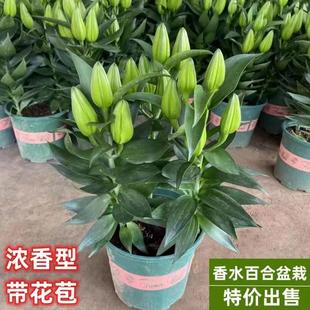 ��ˮ�ٺϻ����Ԏ���������ٺ������r���ͺ�����ֲ���҃ȿ͏d�Gֲ