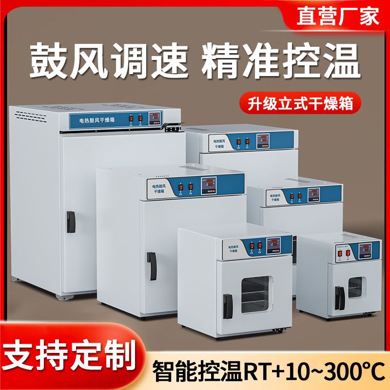 Electric Blast Drying Oven Front and Rear Double Door Oven Laboratory Medicinal Material Drying Oven Industrial 500 Degree Oven