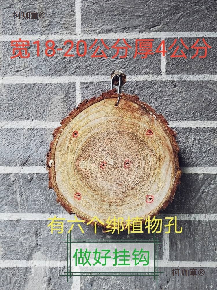 Y原木挂板圆板鹿角蕨种植板石斛种植板附生兰种植板麦太保