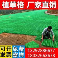 植草格塑料草坪格停车场消防通道植草砖护坡园林绿化厂家