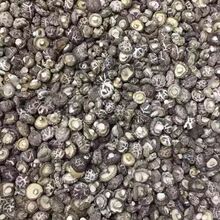 精挑肉厚小花菇炖汤小花菇 小香菇 蘑菇精挑干香菇 花菇干货包邮