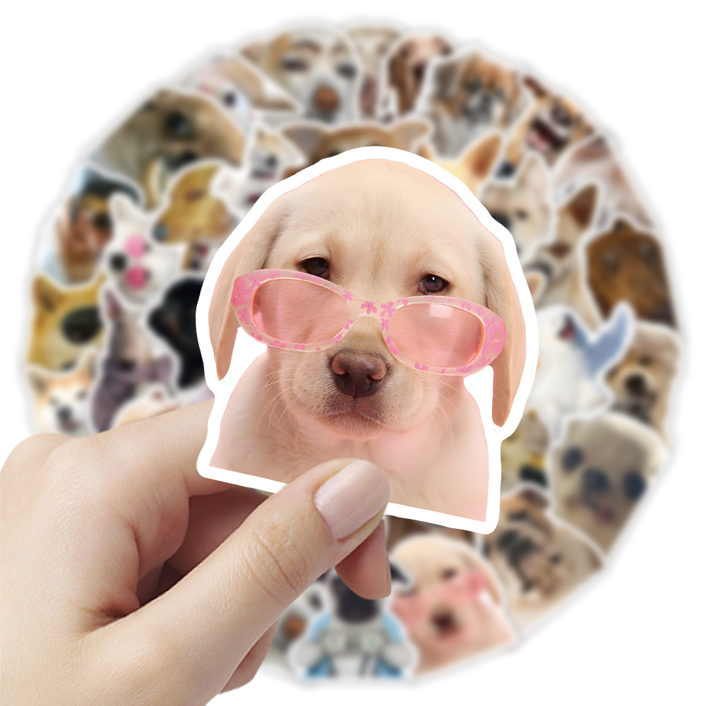 1 Set Dog Cat Learning PVC Self-adhesive Cute Stickers display picture 24