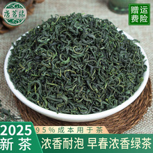 唐茗缘茶叶绿茶新茶 浓香松阳香茶 云雾绿茶 茶叶自己喝 茶叶散批