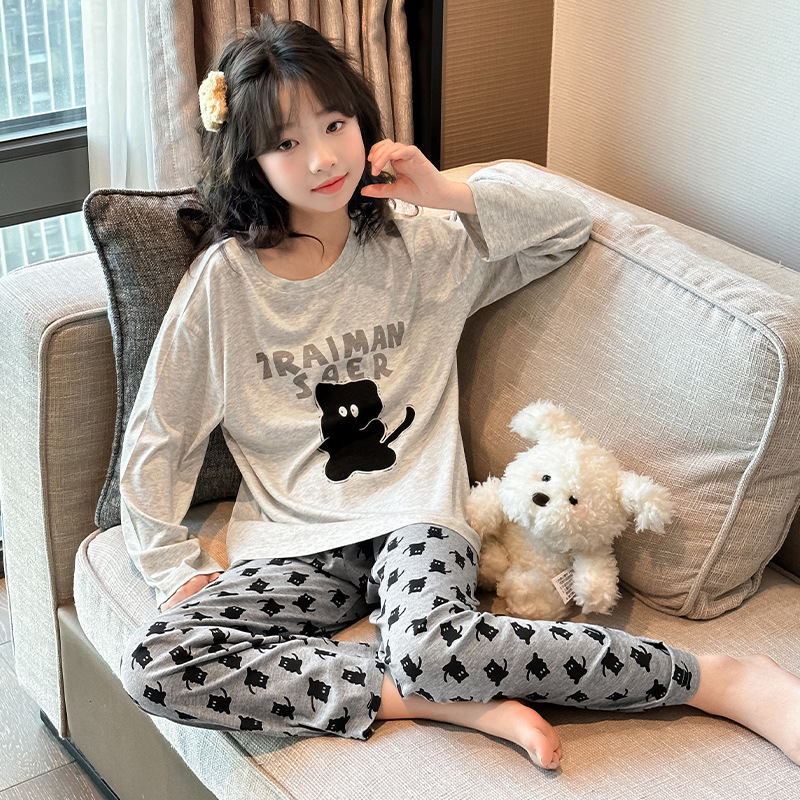 515 모달 라이트 그레이 새끼 고양이