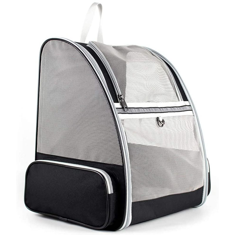 71zCgsbobNL._AC_SL1024_