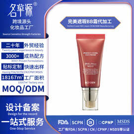 全英文定制外贸 Cover BB Cream 完美遮瑕BB霜OEM代加工厂家批发