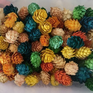 С���~�ɹ�С�ɻ����� ��ɫ�ɹ���ˇƷ�����}�Q�b��Ĕz����