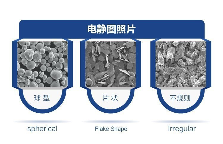 u=395942150,2107311156&fm=