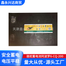 骆驼蓄电池阿波罗6-CQ-200批发免维护铅酸蓄电池汽车电动车蓄电池