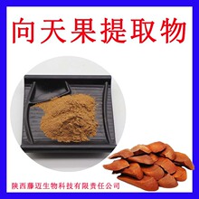 向天果提取物无中间商天仙果提取物欢迎选购向天果浓缩粉