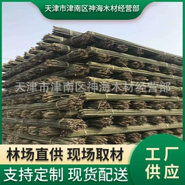 木质型材;木板材;竹木藤苇干草