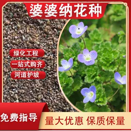 一二年生花卉;林业副产品;其他园林植物