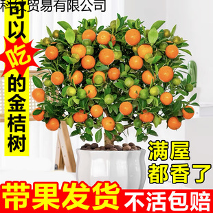 �ļ���ۘ������Ԏ���ֲ���҃Ⱥ��B���ܿ͏d����С���Ә��辰