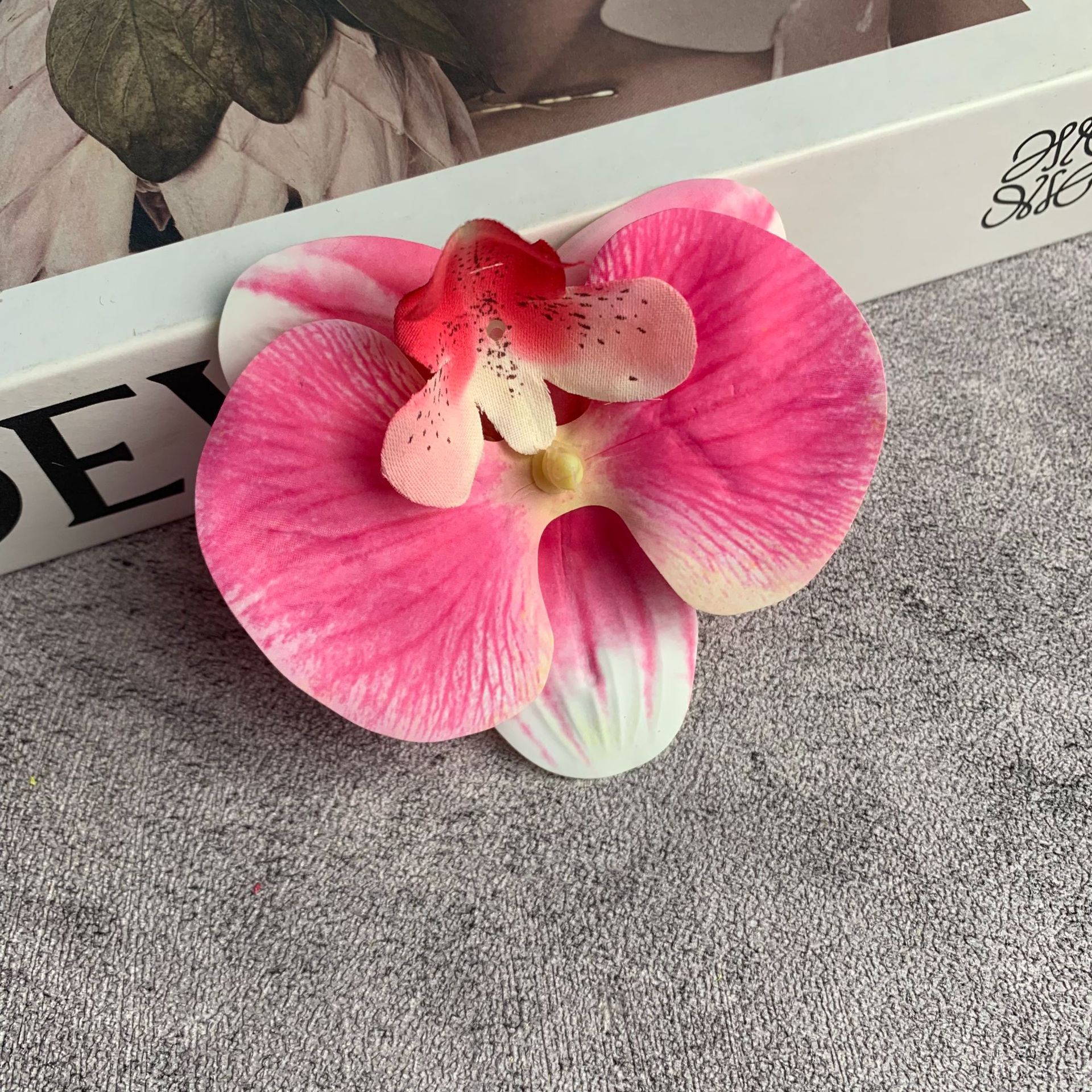 중간 호접란 꽃 머리 흰색 분홍색