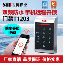 ֙CAPplˮTCӸБikiTһwCtuyaT