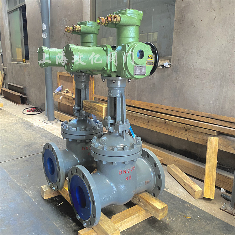 Z941H-25C DN250电动闸阀 带RS-485 矿用隔爆型一体式电动闸阀