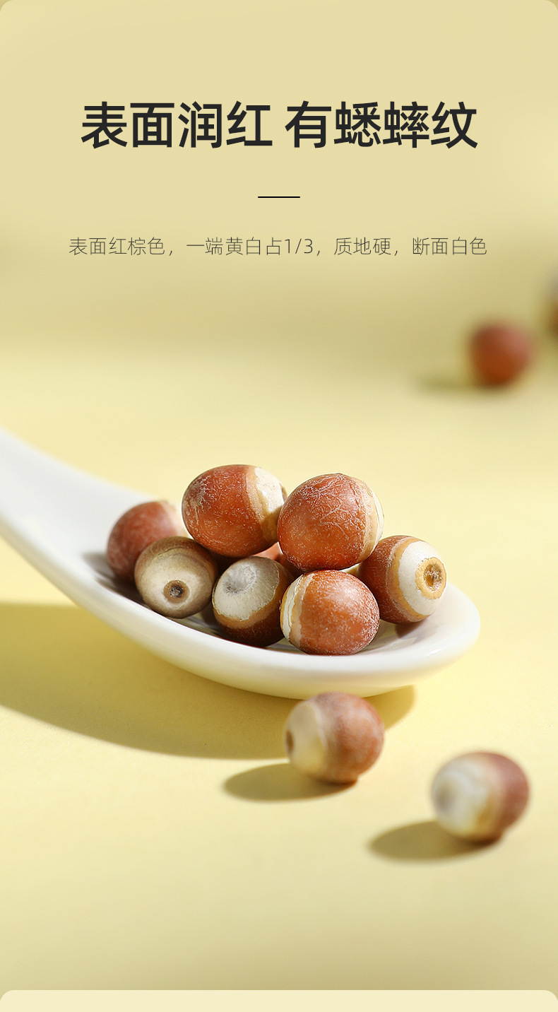 Dried Euryale Ferox Seeds Qian Shi 250g Jar Chinese Gorgon Nut for Soup and Congee quality and texture