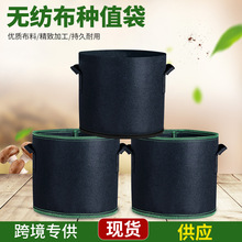 羵ëձֲgrowbagֲóӺ޷Ĳֲ绨